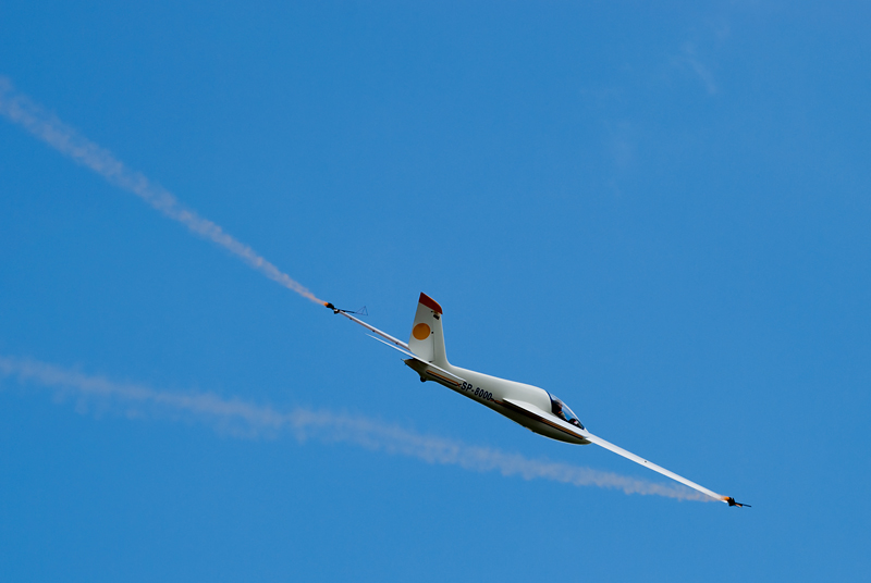 19_MPL_MDM-1 Solo Fox.jpg